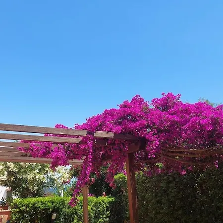 Διαμέρισμα Cala Azzurra *