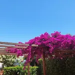 Appartement Cala Azzurra *